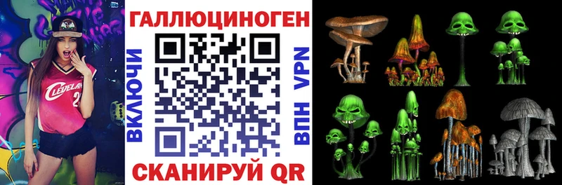 Галлюциногенные грибы GOLDEN TEACHER хочу наркоту Отрадное
